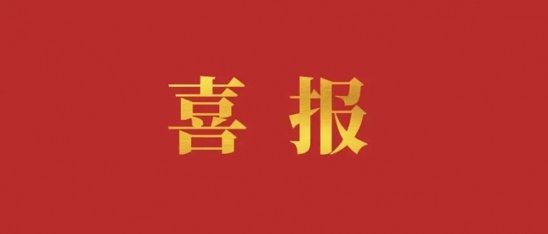 重慶市屬?lài)?guó)有企業(yè)戰(zhàn)略性重組專(zhuān)業(yè)化整合提速！重慶人力資源發(fā)展有限公司揭牌
